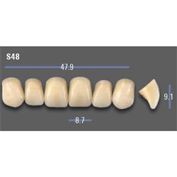 VITAPAN EXCELL Classical Upper Anterior Shade A1 Mould S48