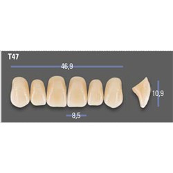 VITAPAN EXCELL Classical Upper Anterior Shade A1 Mould T47