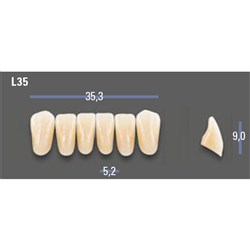 VITAPAN EXCELL Classical Lower Anterior Shade B3 Mould L35