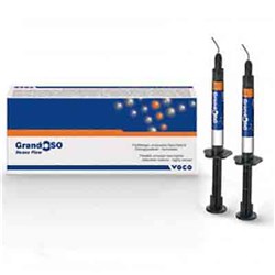 GRANDIO SO Heavy Flow A2 Syringe 2g x2