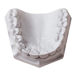 Ortho Stone 15kg Super White