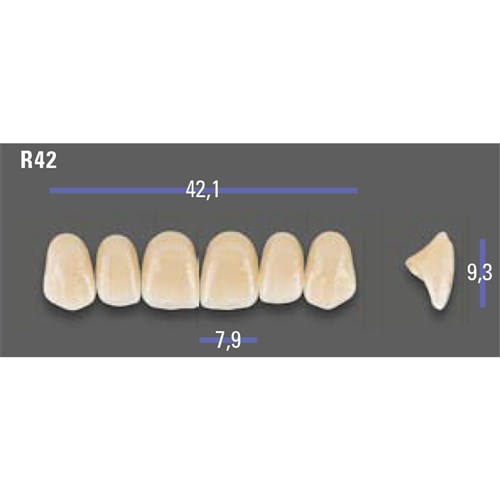 MFT 1M1 R42 Anterior x6