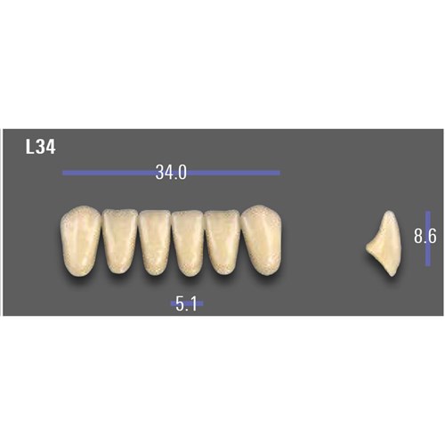 VITA MFT Lower Anterior Classical Shade A1 Mould L34