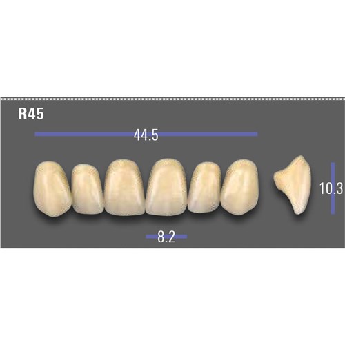 VITA MFT Upper Anterior Classical Shade A1 Mould R45