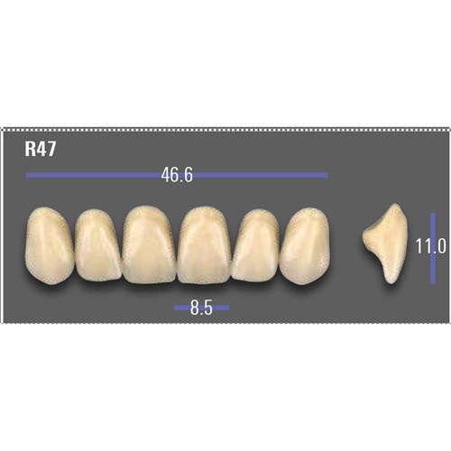 VITA MFT Upper Anterior Classical Shade A1 Mould R47