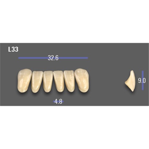 VITA MFT Lower Anterior Classical Shade A2 Mould L33