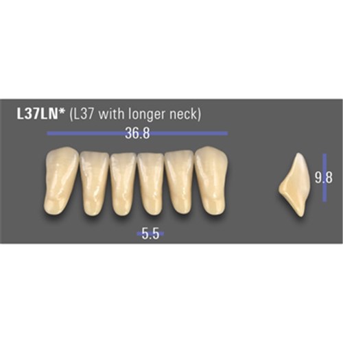 VITA MFT Lower Anterior Classical Shade A2 Mould L37LN