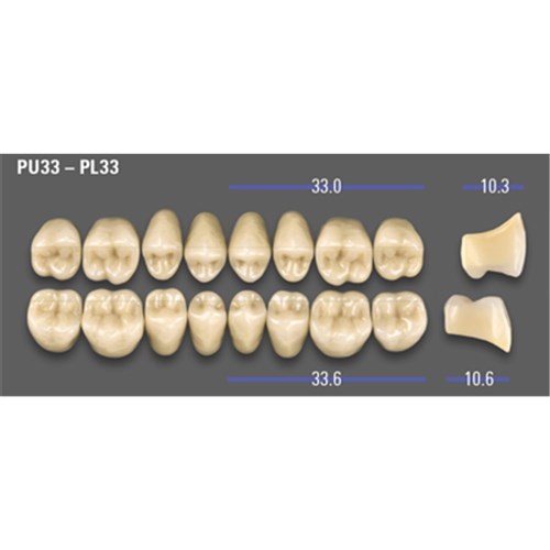 VITA MFT Lower Posterior Classical Shade A2 Mould PU33