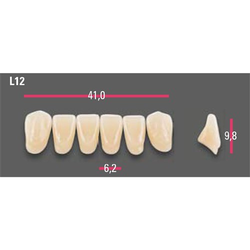 Vitapan Anterior Shade A1 Lower Mould L12 Set 6