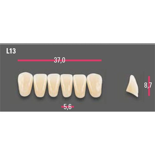 Vitapan Anterior Shade A1 Lower Mould L13 Set 6