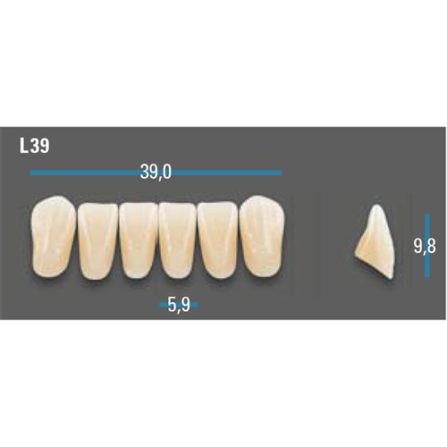 Vitapan Plus Anterior Shade A1 Lower Mould L39 Set 6