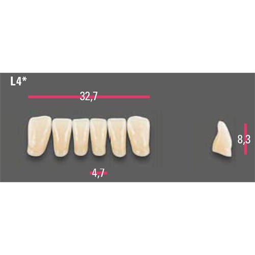 Vitapan Anterior Shade A1 Lower Mould L4 Set 6