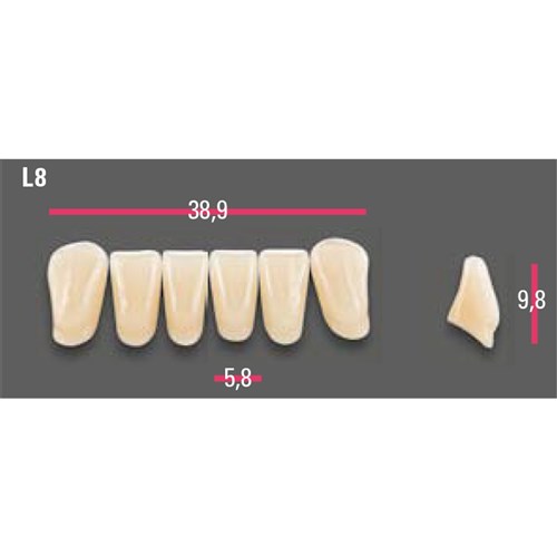 Vitapan Anterior Shade A1 Lower Mould L8 Set 6