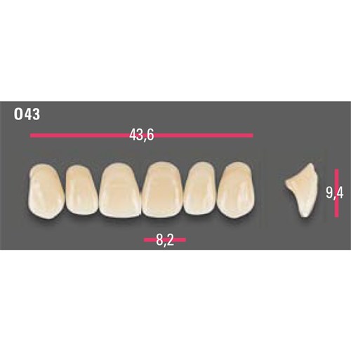 Vitapan Anterior Shade A1 Upper Mould O43 Set 6