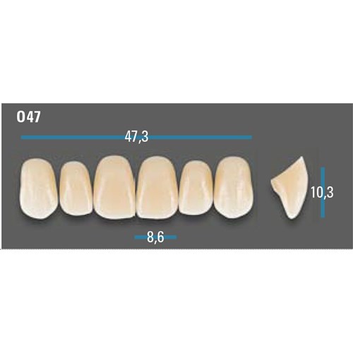 Vitapan Plus Anterior Shade A1 Upper Mould O47 Set 6