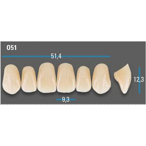 Vitapan Plus Anterior Shade A1 Upper Mould O51 Set 6