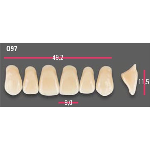 Vitapan Anterior Shade A1 Upper Mould O97 Set 6