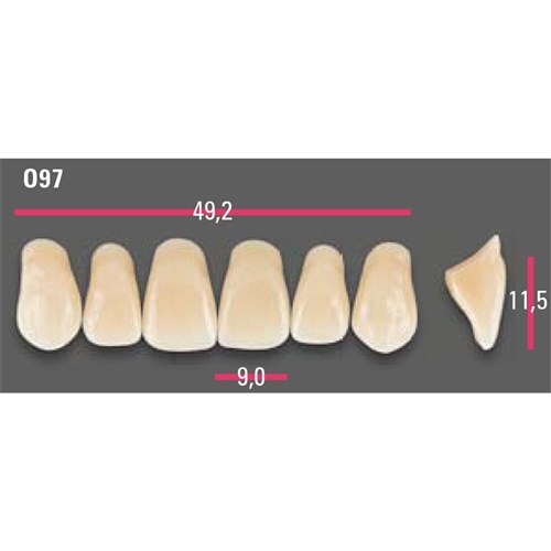 Vitapan Anterior Shade A2 Upper Mould O97 Set 6