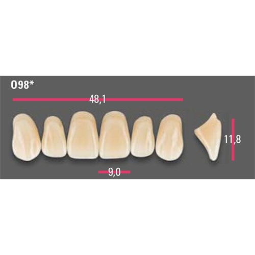Vitapan Anterior Shade A2 Upper Mould O98 Set 6
