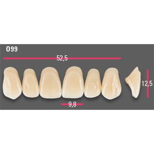 Vitapan Anterior Shade A2 Upper Mould O99 Set 6