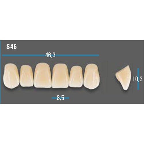 Vitapan Plus Upper Anterior Shade A2 Mould S46 Classical
