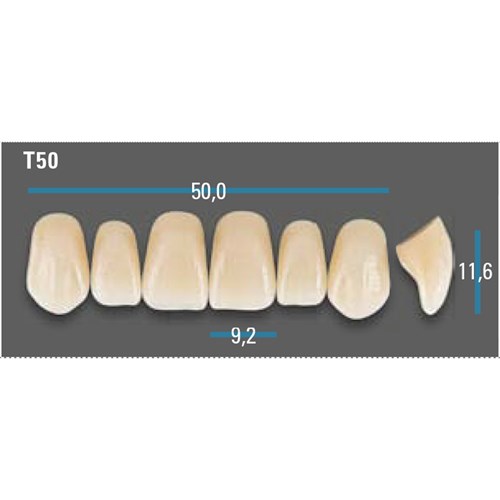 Vitapan Plus Upper Anterior Shade A2 Mould T50 Classical