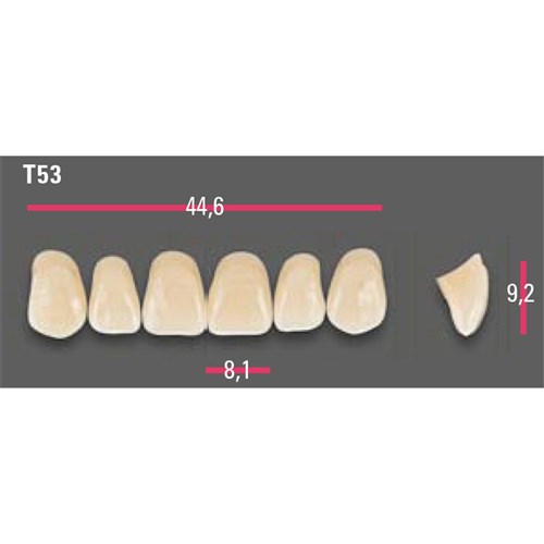 Vitapan Anterior Shade A2 Upper Mould T53 Set 6
