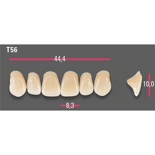 Vitapan Anterior Shade A2 Upper Mould T56 Set 6