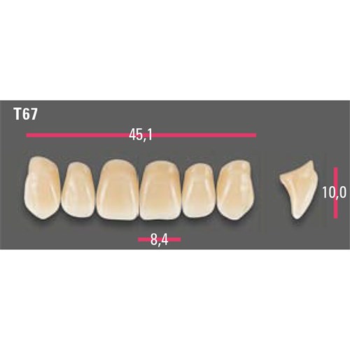 Vitapan Anterior Shade A2 Upper Mould T67 Set 6