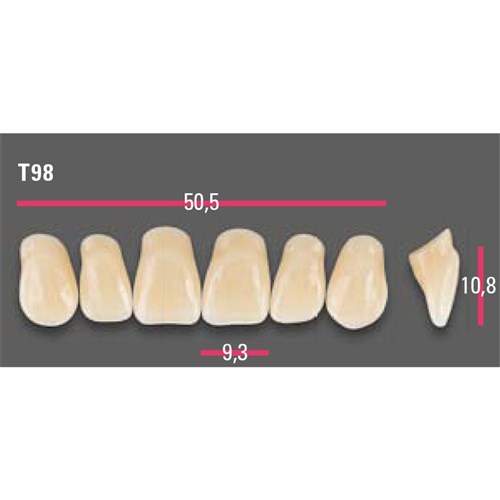 Vitapan Anterior Shade A2 Upper Mould T98 Set 6