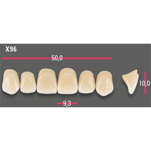 Vitapan Anterior Shade A2 Upper Mould X96 Set 6