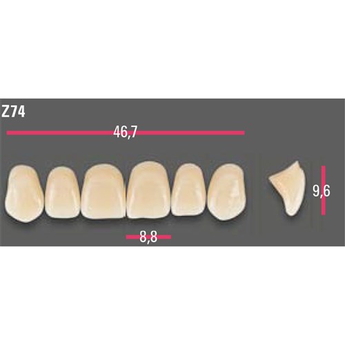 Vitapan Anterior Shade A2 Upper Mould Z74 Set 6