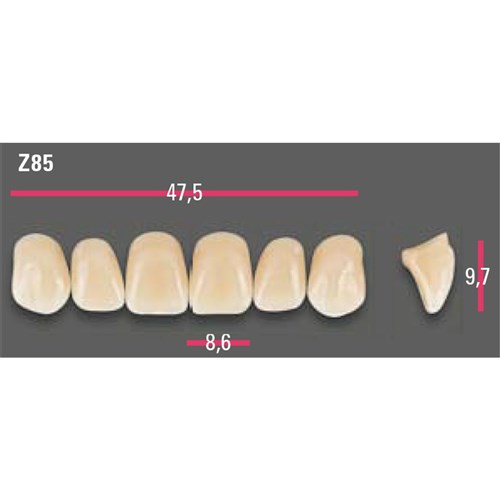 Vitapan Anterior Shade A2 Upper Mould Z85 Set 6