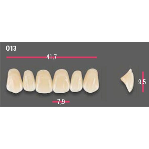 Vitapan Anterior Shade A3 Upper Mould O13 Set 6