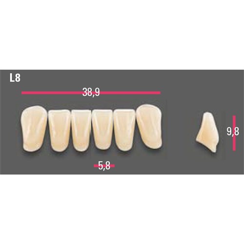 Vitapan Anterior Shade A3.5 Lower Mould L8 Set 6