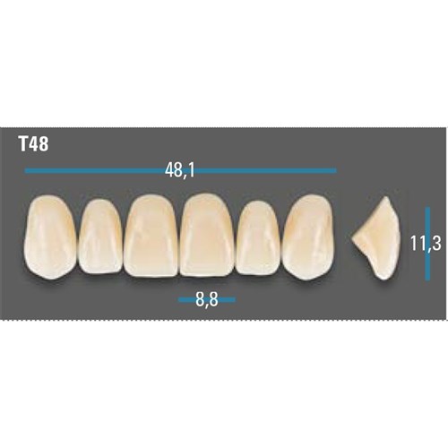 Vitapan Plus Anterior Shade A3.5 Upper Mould T48 Set 6