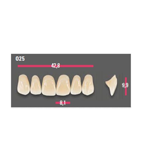 Vitapan Anterior Shade A4 Upper Mould O25 Set 6