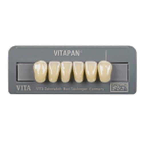 Vitapan Anteriors/ 6
