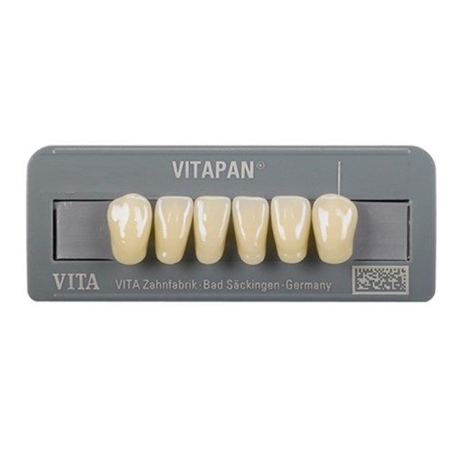 Vitapan Anteriors/ 6