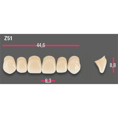 Vitapan Anterior Shade B3 Upper Mould Z51 Set 6