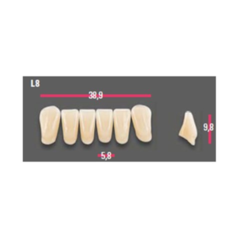 Vitapan Anterior Shade B4 Lower Mould L8 Set 6