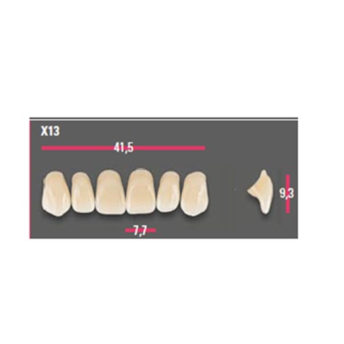 Vitapan Anterior Shade B4 Upper Mould X13 Set 6