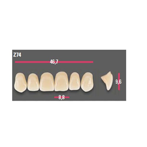 Vitapan Anterior Shade B4 Upper Mould Z74 Set 6