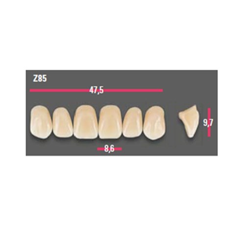 Vitapan Anterior Shade B4 Upper Mould Z85 Set 6