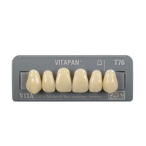 Vitapan Anterior Shade C3 Upper Mould Z61 Set 6