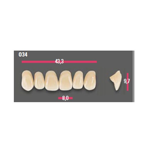 Vitapan Anterior Shade C4 Upper Mould O34 Set 6