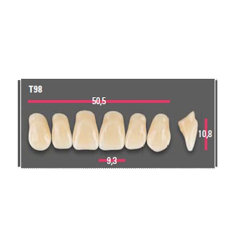 Vitapan Anterior Shade C4 Upper Mould T98 Set 6