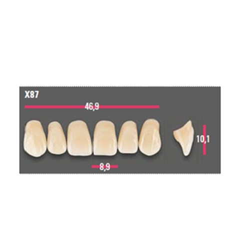 Vitapan Anterior Shade C4 Upper Mould X87 Set 6