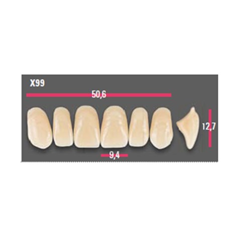 Vitapan Anterior Shade C4 Upper Mould X99 Set 6