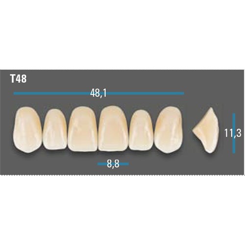 Vitapan Plus Anterior Shade D4 Upper Mould T48 Set 6